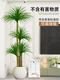 Simulated Green Plant Dracaena, High-End Light Luxury Living Room Large Potted Plant, Artificial Flower Ornament, Fake Tree Plant Decoration and Landscaping