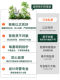 Artificial Plants for Indoor Staircases, Storefront Window Displays, and Decorative Landscaping Combinations; Faux Greenery for Ambiance Decoration