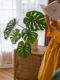 Artificial Green Plant Monstera for Living Room and Office, Realistic Indoor Plant Potted Decoration, Floor-Standing Decorative Fake Tree