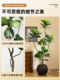 Artificial Green Plant Ficus Lyrata, Antique-Style Ornament, Indoor High-End Light Luxury Living Room Decoration, Large Fake Green Plant Decorative Tree