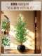 Vintage-Style Artificial Green Plant Potted Olive Tree, Large Floor-Standing Plant for Home Indoor and Outdoor Artificial Decoration