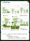 Simulated Green Plants for Landscaping, Fake Green Plants for Decoration, Simulated Indoor Landscape for Stair Corners, High-End Long Strip Landscaping