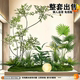 Artificial Green Plant Landscape Decoration Set for Window Display, Fake Plant Landscaping for Courtyard Arrangement, Entrance Hall Interior Ambiance Tree