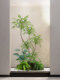 Artificial Green Plant Nandina Bamboo Landscaping Combination for Window Decoration, Balcony Faux Plant Landscape, Entrance Indoor Atmosphere Artificial Tree