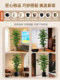 Artificial Greenery Welcoming Pine Tree for Living Room, Light Luxury Green Plant Artificial Ornament, Large Floor-Standing Decorative Ornament, Artificial Tree Potted Plant