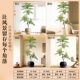 Simulated Green Plants, High-End Light Luxury Living Room Decoration, Floor-Standing Ornaments, Indoor High-End Bionic Jacaranda Fake Flower Tree Potted Plants