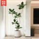 Artificial Rubber Tree Green Plant Faux Plant for Living Room, Light Luxury Imitation Flower Decorative Tree, Large Indoor Potted Floor-Standing Ornament