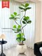 Artificial Green Plant Ficus Lyrata with a High-End Feel, Living Room Artificial Green Plant Decoration, Indoor Floor-Standing Artificial Green Plant Potted Plant