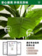2025 Large Artificial Banana Tree with Large Leaves for Decoration, Simulated Green Plant for Indoor Landscaping, High-End Plant Fake Tree Ornament