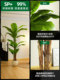 2025 Large Artificial Banana Tree with Large Leaves for Decoration, Simulated Green Plant for Indoor Landscaping, High-End Plant Fake Tree Ornament