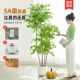 Artificial Green Plant of Nandina, Luxury Faux Flower Tree, Bionic Plant for Indoor Large-Scale Decoration, Living Room Potted Plant, Floor-Standing Ornament