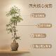Artificial Green Plants, Light Luxury High-End Nandina Bamboo Fake Tree Potted Plants for Indoor Home and Shop Decor, Wabi-Sabi Floor-Standing Ornaments