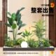 Simulated Green Plants for Landscaping, Indoor Landscape, Artificial Plant Combinations, Window Decoration, Courtyard Layout, Artificial Trees under Stairs
