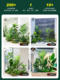 Simulated Green Plant Landscaping Decoration for Indoor Stairways, Courtyard Landscape Arrangement, Tropical Artificial Plant Potted Plants, Window Display Decorations
