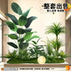 Artificial Green Plant Landscape Decoration Set for Window Display, Fake Plant Landscaping for Courtyard Arrangement, Entrance Hall Interior Ambiance Tree