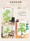 Artificial Green Plant Nandina Bamboo Fake Plant High-End Light Luxury Living Room Decorative Tree Indoor Large Potted Floor-Standing Ornament