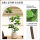 Fake Green Plants Next to the Tv Cabinet, Simulated Ficus Lyrata, Light Luxury High-End Bionic Plant Potted Plants, Large Decorative Ornaments