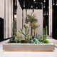 Simulated Cactus Landscaping for Indoor Landscapes, Shopping Mall Store Windows, Large Decorative Scene Arrangements, Artificial Plants and Greenery