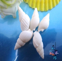 Full 28 yuan natural conch shell white pointed snail 1 hair 5cm conch small shell