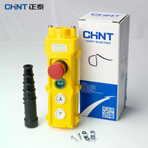 Chint crane electric hoist control driving button switch NP3 driving handle crane remote control