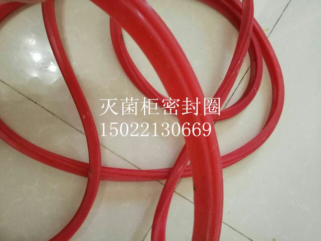 蒸汽锅密封圈 蒸汽脉动真空灭菌柜密封圈，灭菌锅密封圈