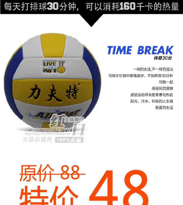 Ballon de volley - Ref 2011012 Image 4