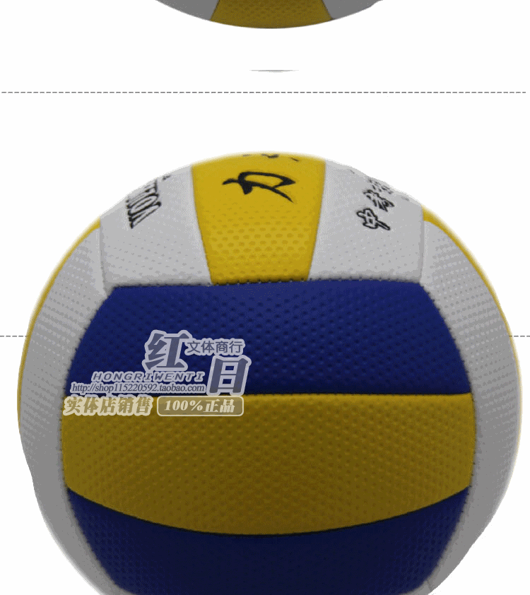 Ballon de volley - Ref 2011012 Image 8