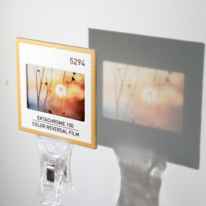 Photography Series Reversal Film "Flowers in the Sunset" Backlight Silhouette Translucent Card Artistic Gift Cultural and Creative Collection Photography Series Reversal Film "Flowers in the Sunset" Backlight Silhouette Translucent Card Artistic Gift Cultural and Creative Collection
