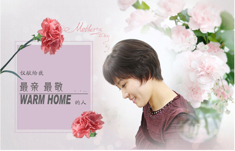 Perruque OTHER   cheveux raides Court - Ref 2607747 Image 10