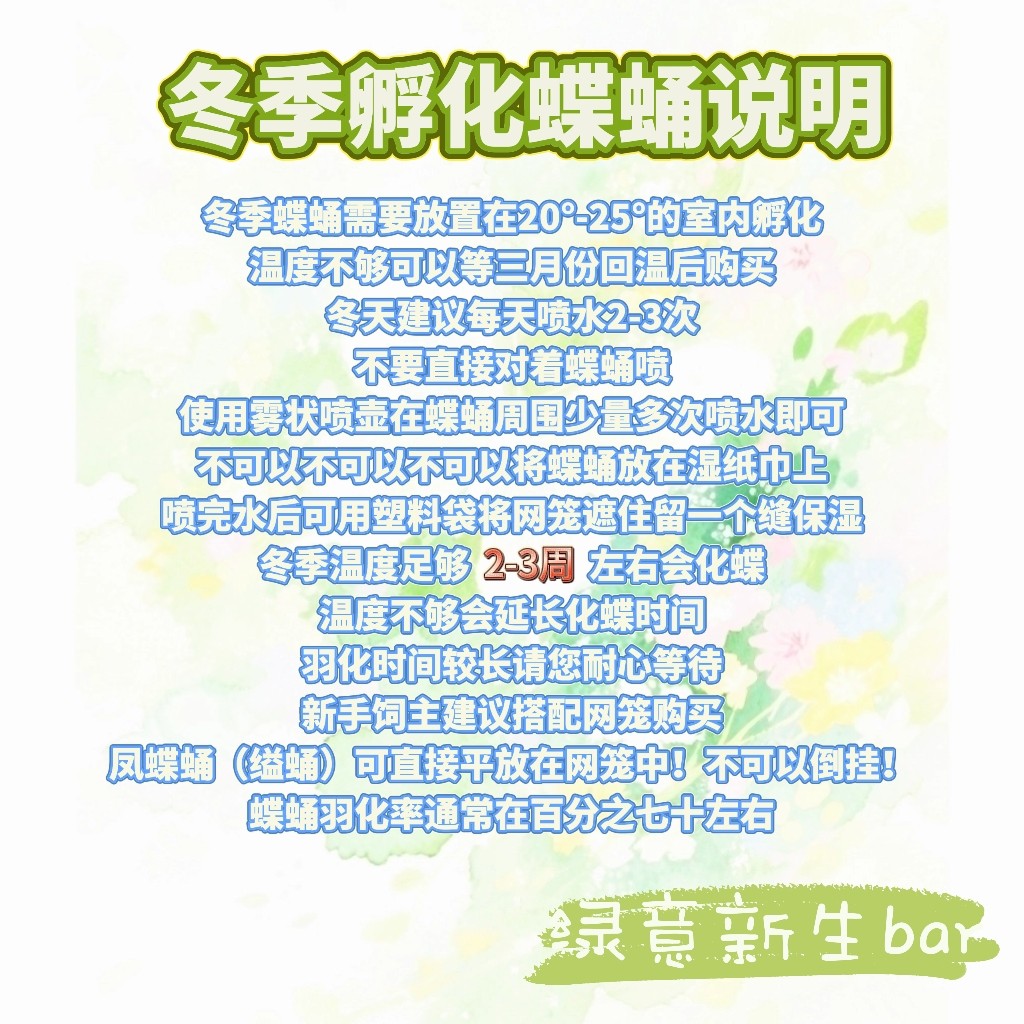 闭目珠大蚕蛾越冬卵和活体蝴蝶哪个更适合作为宠物？