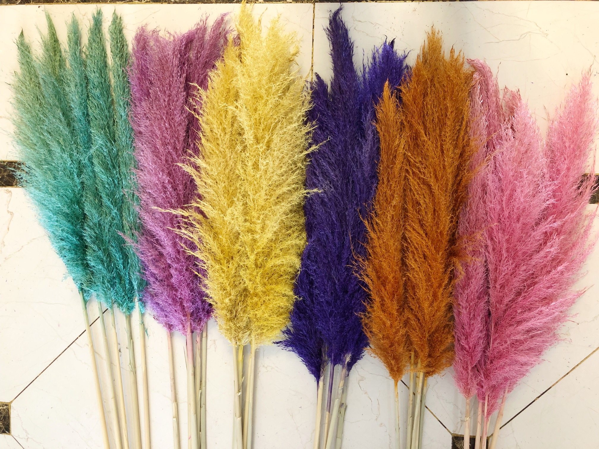 Multicolored reed reed dry flower wedding photography window photo background prop landing decorative cost