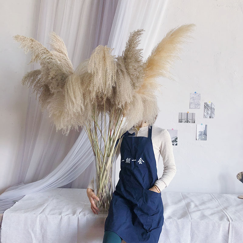 Nordic ins pampas reed dry flower combination large bouquet living room floor decoration decoration live photo props bouquet