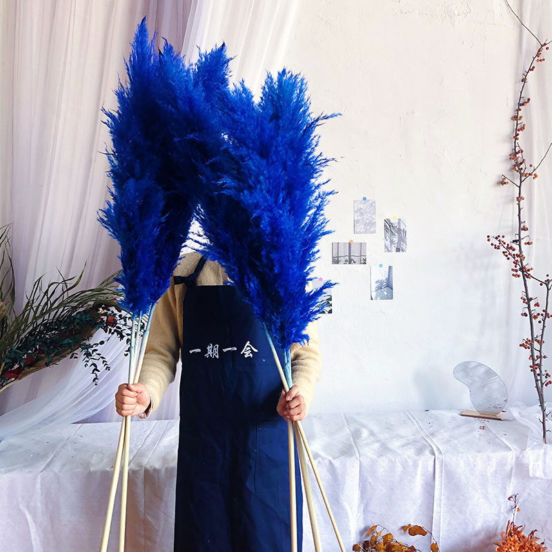 ins big pampa reed drying flower treasure blue reed Korean wind coffee shop decoration photo props clothing store window decoration