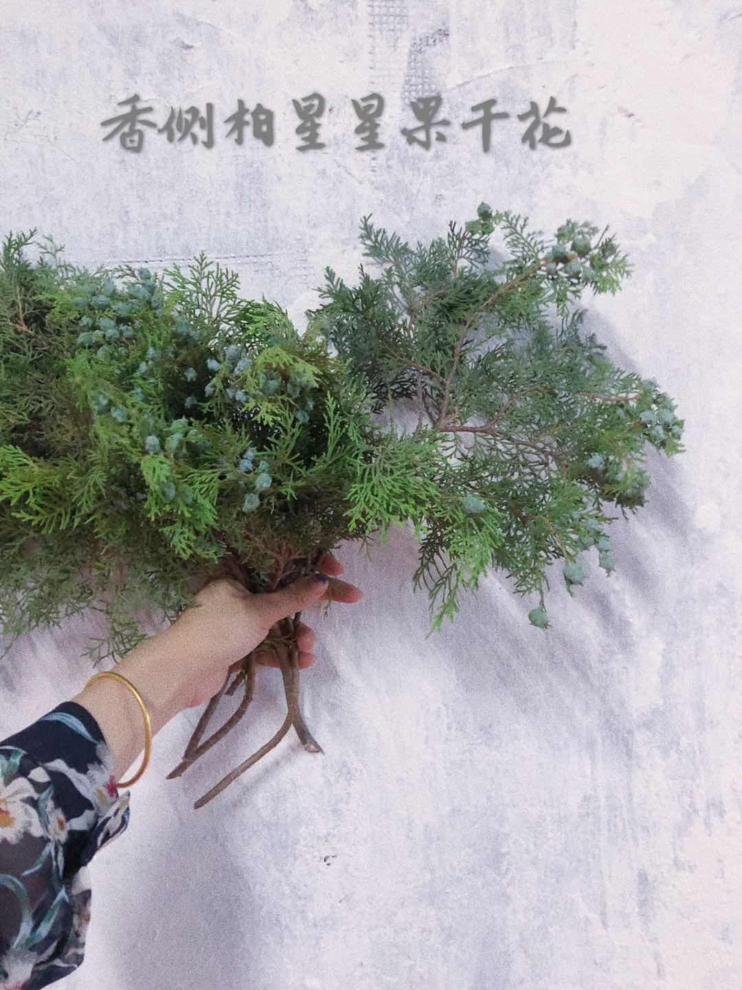 The earth farm flower material forest is cold wind fragrant arborvitae star dried fruit flower dry branch wedding home photo props