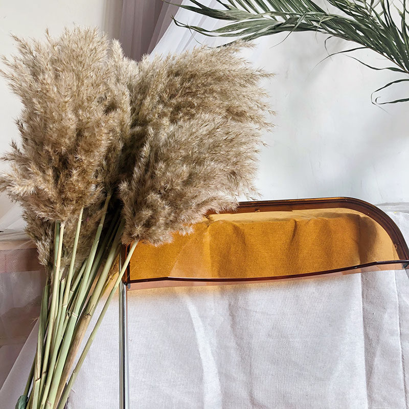 Natural reed real flower dry flower Nordic home soft decoration wedding scene layout pampas reed homestay soft decoration with bouquet