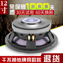 Leighton Horn 12 inch 220 magnetic 100 core professional stage high power performance wedding special speaker