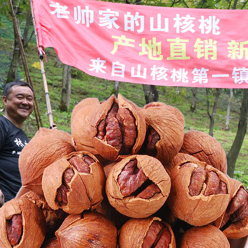 2021 New Lin'an pecan big seeds are very good to peel fresh wild original flavor Hangzhou hand plucked small walnuts