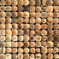 Внутренняя оболочка кокосового кокоса лака