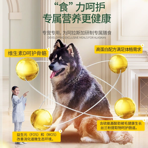 Навик увы бонус собаки Специальные 2,5 кг5 Catties 21 месяц, а больше средних и больших собак подходят для натурального корма для собак