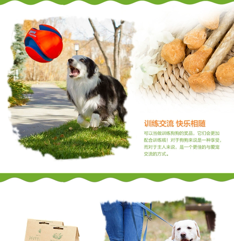 Nike Wick Pet Snacks VIP Teddy Chicken Dumbbell Puppy 100g Molar Stick Huấn luyện chó ăn vặt