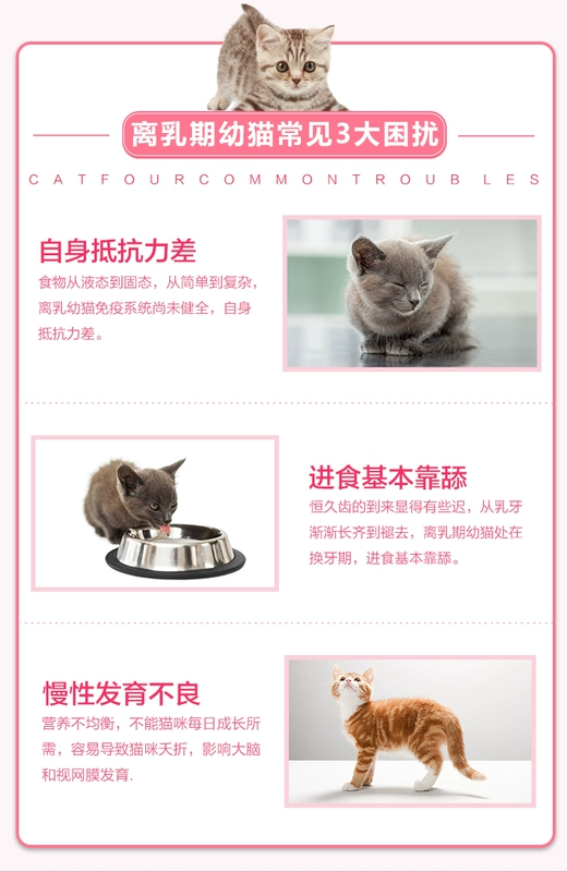 Nike Cat Food Bánh sữa mèo 500g * 2 Gói 1-4 tháng Sữa vắt sữa Trà sữa Bánh mèo Cat Thực phẩm chính