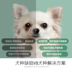 Chó Nikeke Chihuahua đặc biệt 2,5kg5 kg chó nhỏ 3 tháng trở lên để làm thức ăn cho chó tự nhiên - Chó Staples thức an cho chó bao 20kg Chó Staples