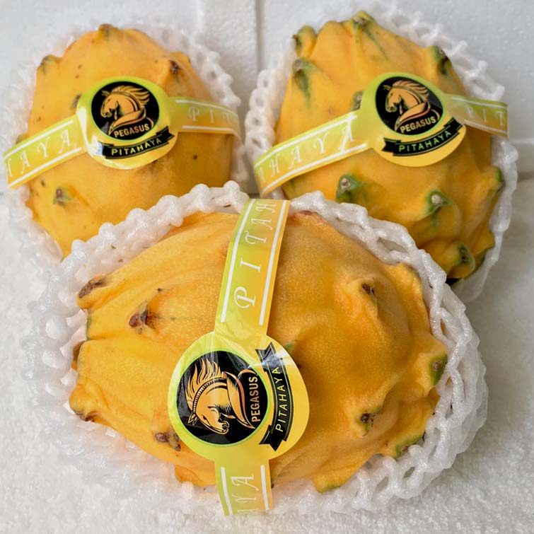 海南麒麟燕窝果孕妇适用吗?2026年当季水果消费趋势全解