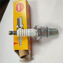 The spark plug BR9ECS
