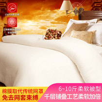 Soft 6-10kg cotton quilt cotton wool quilt single bed cotton autumn and winter quilt core double thickened Xinjiang quilt
