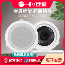 Hivi Huiwei TD206 store background music TD205 constant pressure ceiling speaker store ceiling ceiling speaker