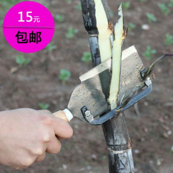 Fruit - cutting knife Fruit - cutter Fruit - cutter Fruit - cutter Fruit - thickness Pineapple knife