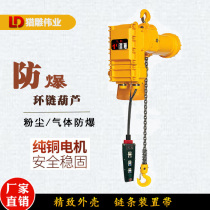 Factory direct explosion-proof chain electric hoist 1 ton 2 tons 3 tons 5 tons explosion-proof chain hoist running type