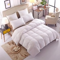 High elastic super soft air conditioning feather velvet winter quilt pure white five-star hotel hotel cotton spring and autumn quilt core