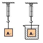 Bailing spring scale tube dynamometer Tubular tension gauge physical experiment Handheld scale 500N 500 Newton 50kg